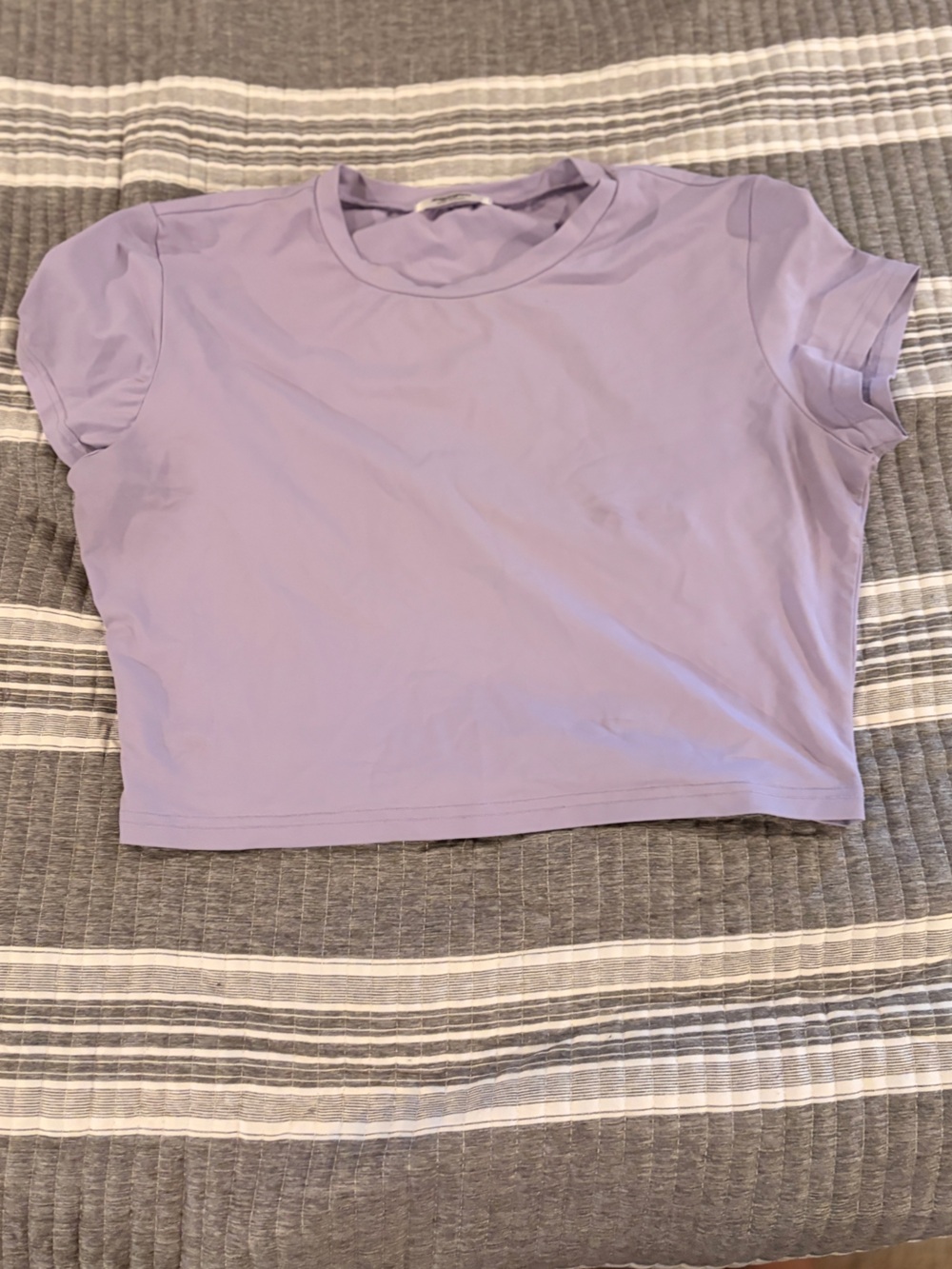 zeagoo Lavender Short Sleeve Cropped Tee Women’s Large